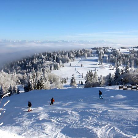 Apartament Le Chamois Mont D'Or Métabief Zewnętrze zdjęcie